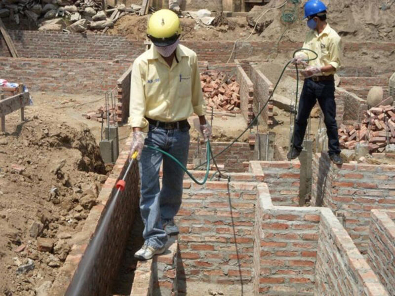cách chống mối khi xây nhà